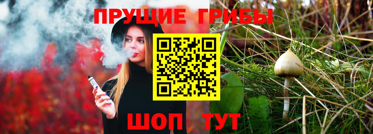 как найти закладки  Вход с VPN  Пугачёв  Галлюциногенные грибы Magic Shrooms 